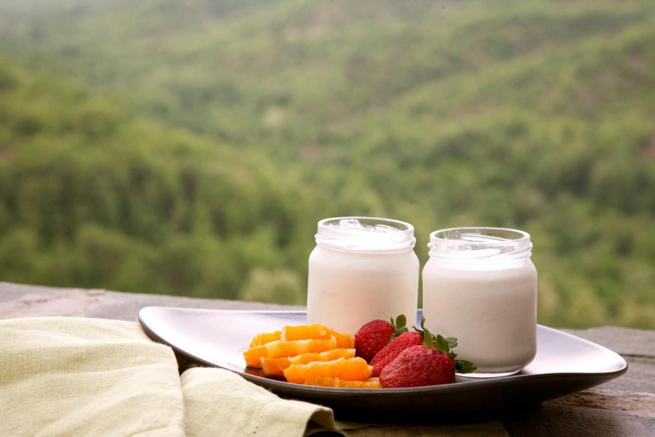 Kipi Suites Zewnętrze zdjęcie